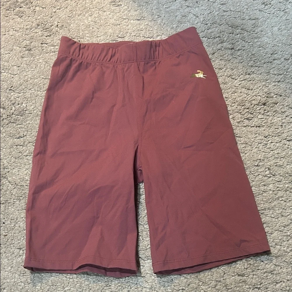 Tracksmith Allston Long Shorts in Rosewood size XS EUC